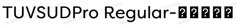 TUVSUDPro Regular字体转换